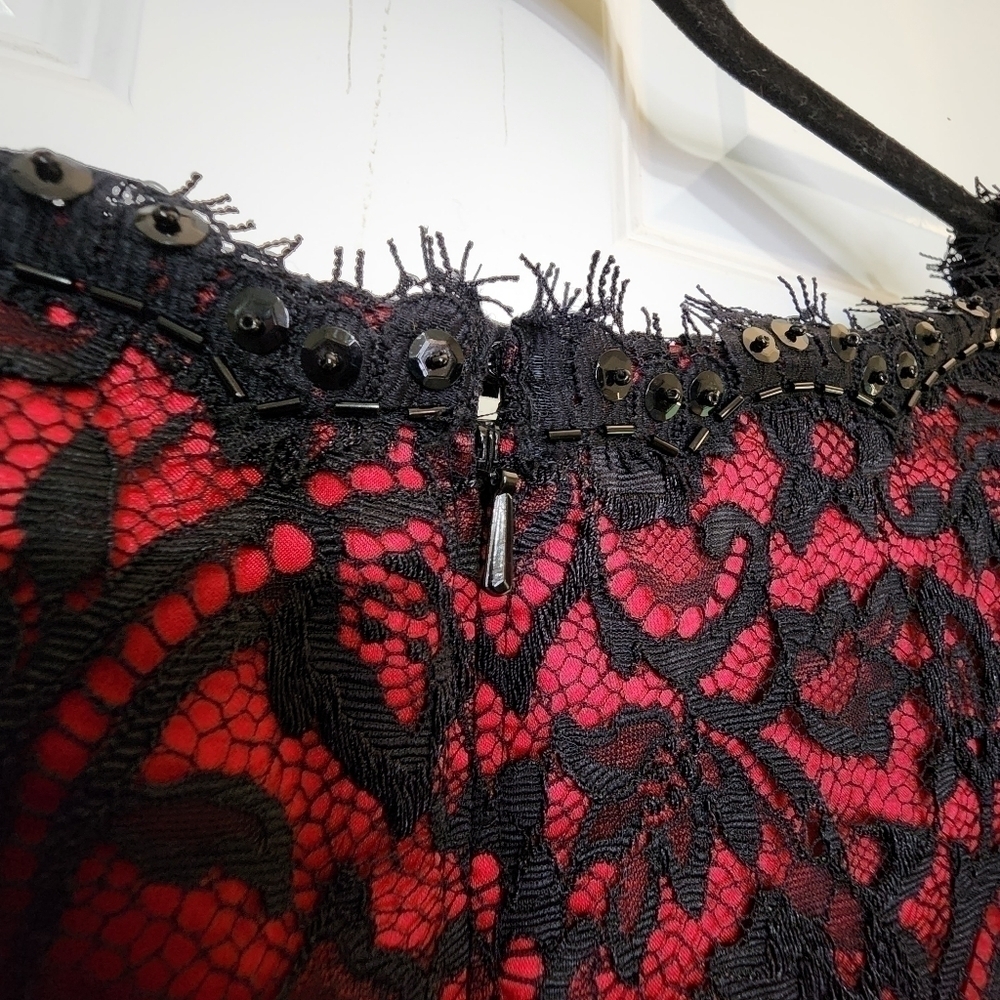 TADASHI Dress Shoji Cocktail Womens Size 4 Red Black Lace Eyelash Fairygoth - Picture 12 of 13